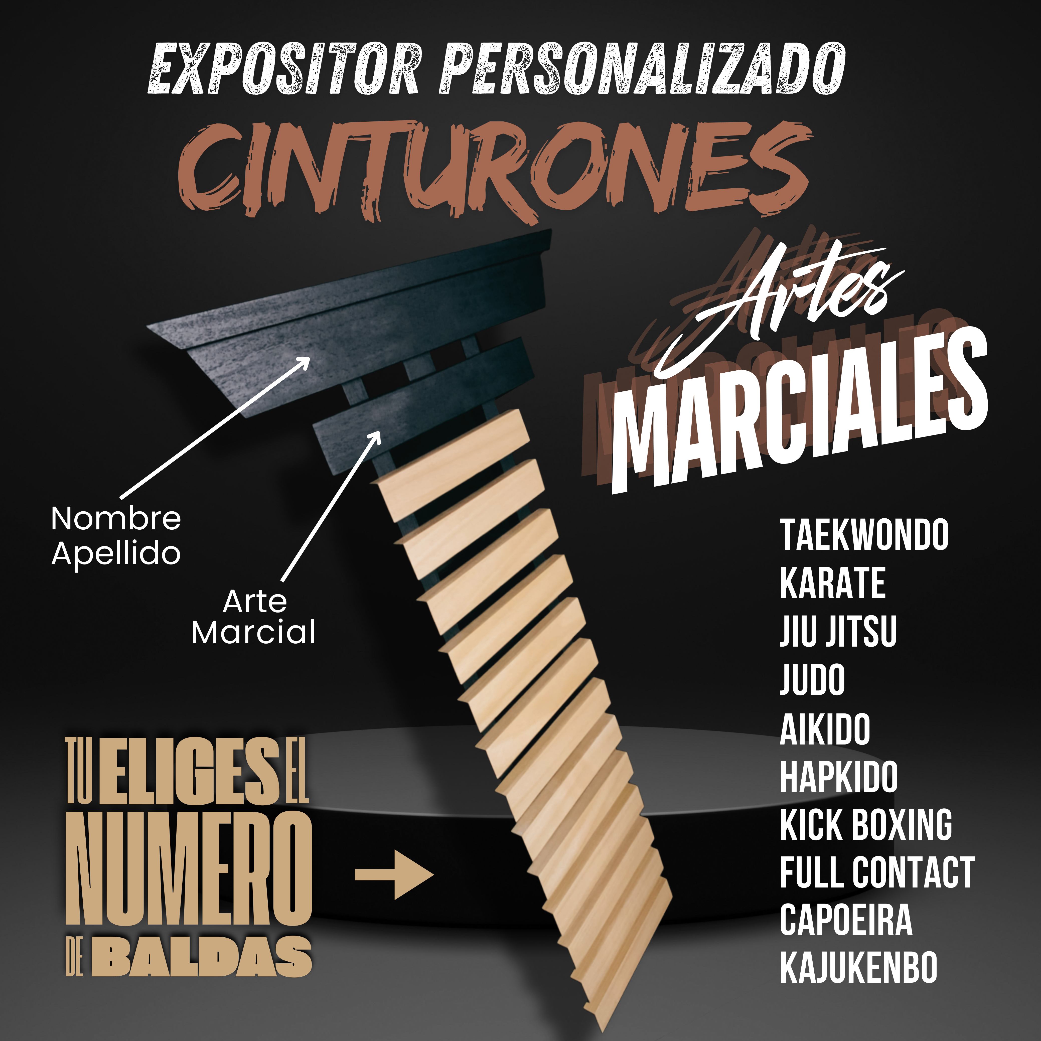 Expositor artes marciales